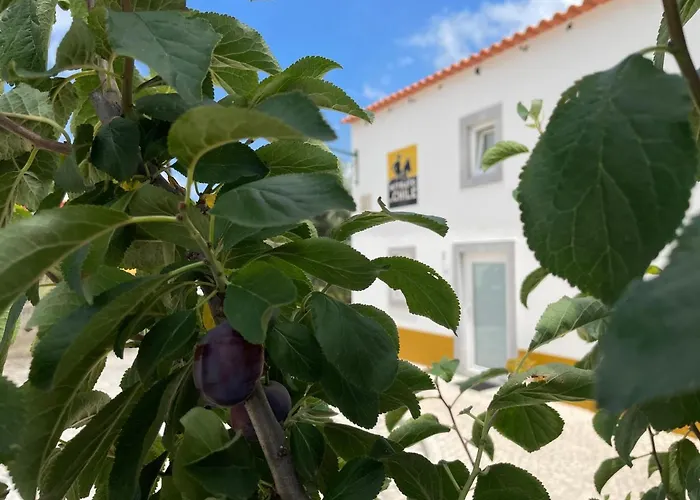 Hotel que aceita animais de estimação: Adubai Obidos